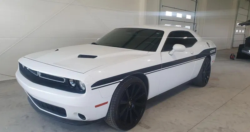 dodge małopolskie Dodge Challenger cena 86500 przebieg: 79716, rok produkcji 2018 z Grodzisk Wielkopolski